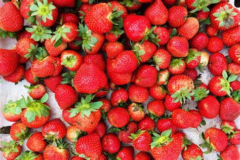 Strawberry Farm Baguio: Travel Guide (2019) - Lost and Wonder