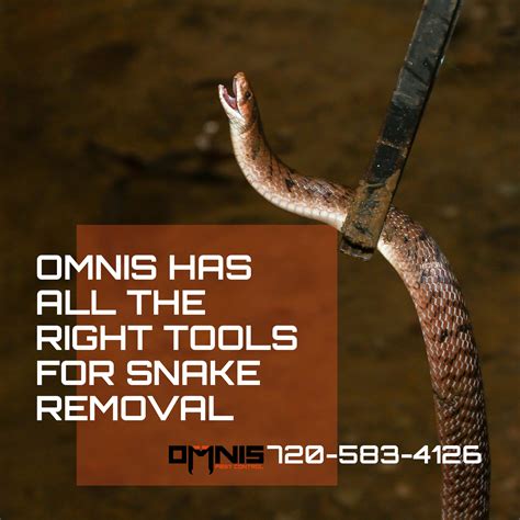 Snake Removal Tools - Wildlife Control - OMNIS Pest Control