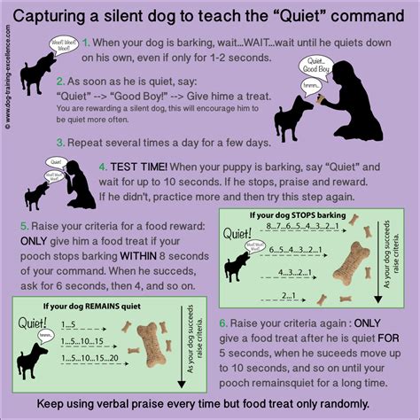 How to stop dog barking? Teach your dog the "Quiet" command.