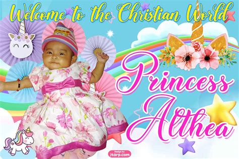 2x3 Princess Althea Unicorn Theme Christening Tarp Design