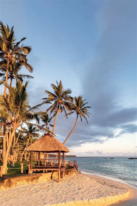 a beach with palm trees and a hut on the sand near the water's edge