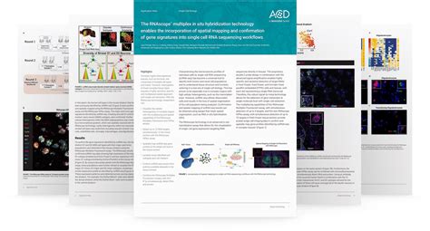 RNAscope™ multiplex in situ hybridization technology