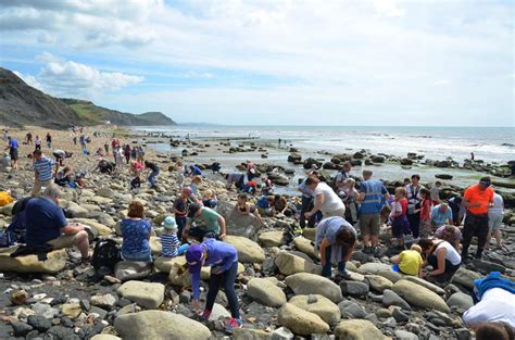 Charmouth Fossils and Fossil Hunting on the Jurassic Coast