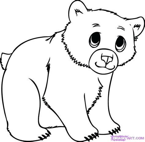 Polar Bear Drawing Easy | Free download on ClipArtMag