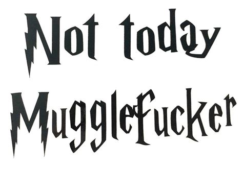 Harry Potter Not Today Mugglef**ker Decal Vinyl Sticker -Ideal for Mugs,Glasses #Cartoon | Vinyl ...