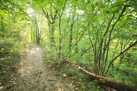 Hiking Dunes Trails in Indiana Dunes State Park, Indiana