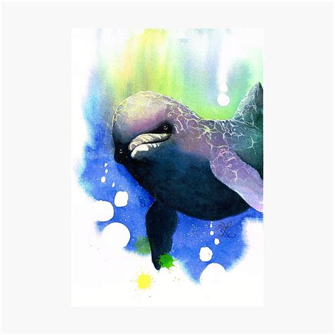 Art & Collectibles Watercolor Painting Whale cute watercolor colourful ...