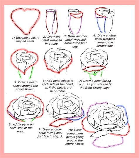 How to Draw a Rose With Pencil Step by Step - Brown Agen1949