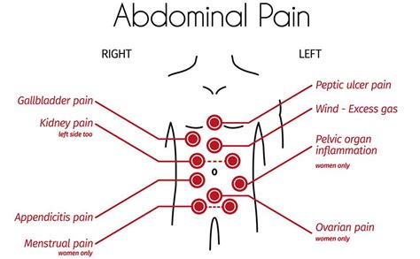 Abdominal Pain Causes Symptoms Treatment When To See Doctor – Themelower