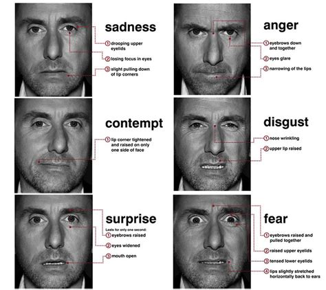 Am I in trouble? Interpreting facial expressions – Emotion, Brain ...