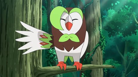 22 Interesting And Amazing Facts About Dartrix From Pokemon - Tons Of Facts