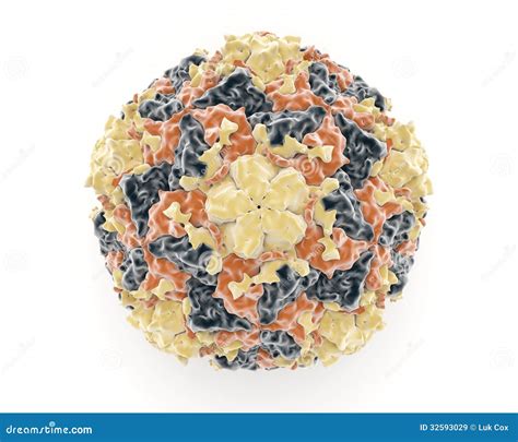 Rhinovirus stock illustration. Illustration of healthcare - 32593029