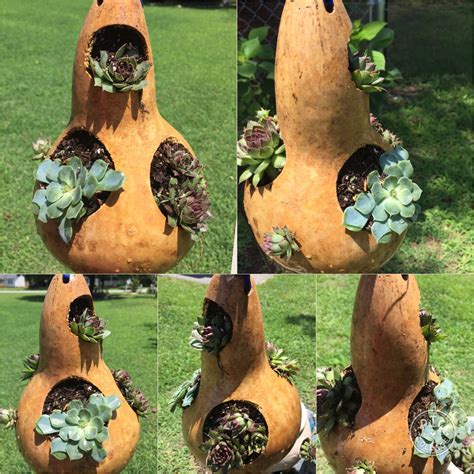 Gourd planter | Gourds crafts, Gourds, Gourd art