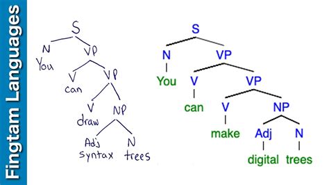 40 morphology tree diagram generator - Diagram Online Source