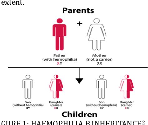 Figure 1 from Gene therapy for haemophilia. | Semantic Scholar