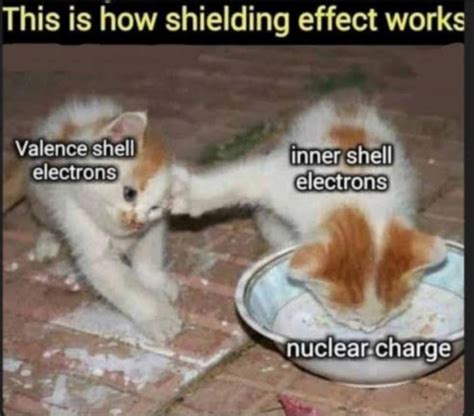 This is how shielding effect works : r/physicsmemes