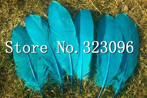 Wholesale Goose Feathers,200pcs/lot TURQUOISE Goose Loose Feathers,Goose Craft Feathers,13 18cm ...