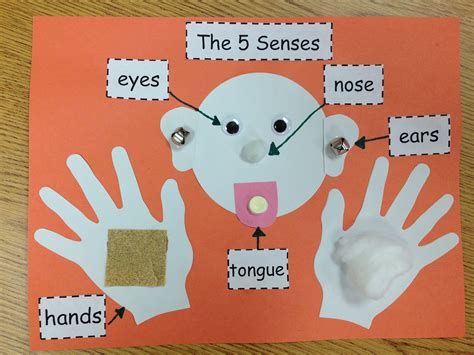 Five Senses Arts And Crafts For Preschoolers - Virginia Carrillo's Kids ...