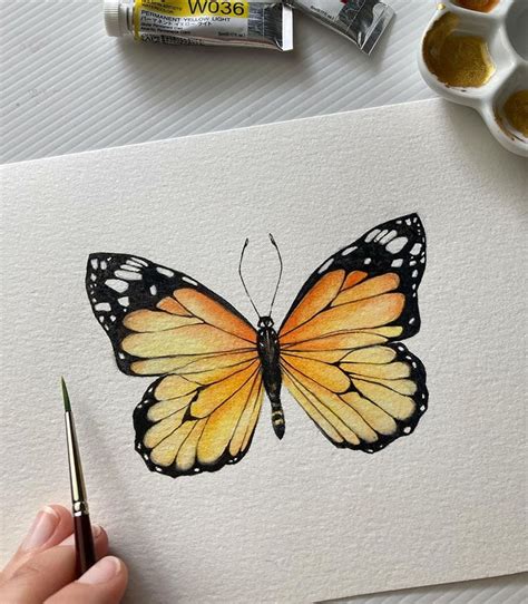 Beautiful Watercolor Butterfly Painting Ideas - Beautiful Dawn Designs