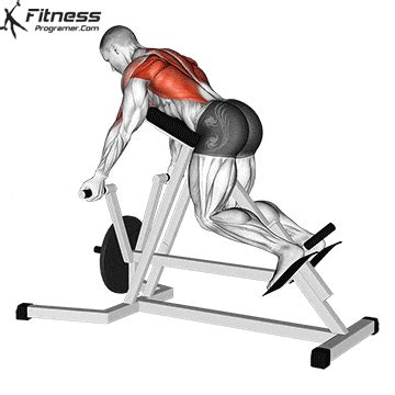 How To Do Lever T-Bar Row | Muscles Worked And Benefits