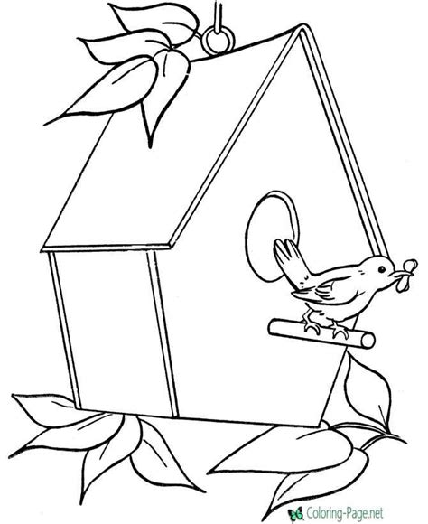 Bird House Coloring Pages