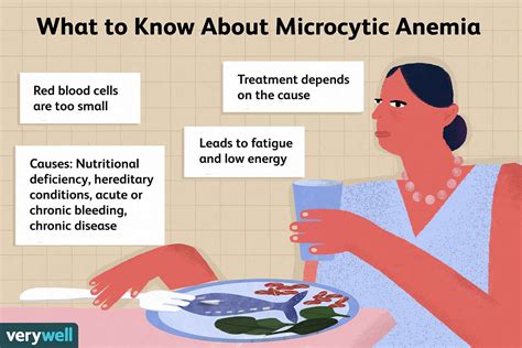 Microcytic Anemia Causes Symptoms Treatment – NBKomputer