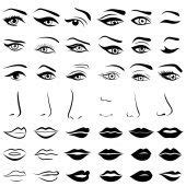 Conjunto de humanos ojos, narices y labios — Vector de stock | Lips illustration, Girl eyes ...