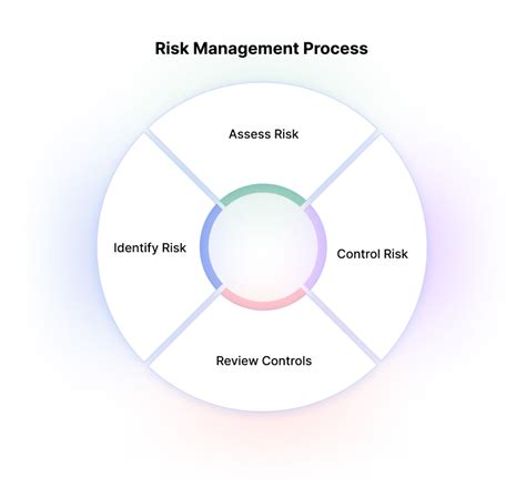 risk management process