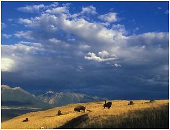 Climate Impacts in the Great Plains | Climate Change Impacts | US EPA