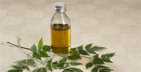 Neem Oil for Skin and Plants: How to Use and Benefits - Dr. Axe