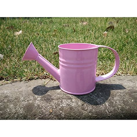 Mini Pink Metal Watering Can 1.2 Liter Manual Colorful Watering Can Small - Walmart.com ...