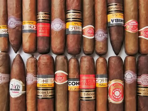 Top 10 Best Cuban Cigar Brands for Cigar Aficionados – All Best Top 10 Lists and Reviews