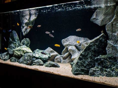 13 Best Fish Caves for Aquariums (Reviews & Guide 2023)