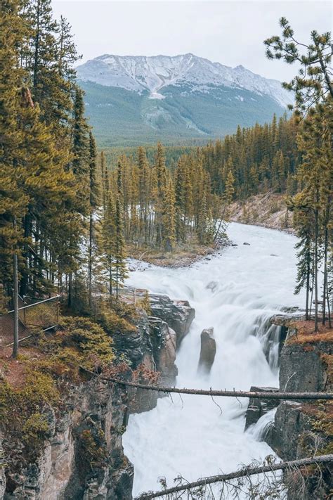 21 Awesome Things To Do in Jasper National Park - The Wandering Queen