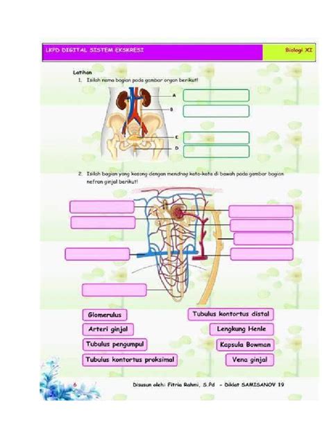 LKPD Ekskresi Ginjal | PDF