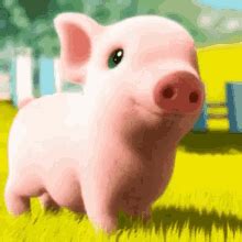 Cute Pig GIFs | Tenor