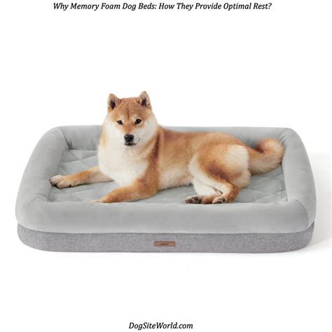 Why Memory Foam Dog Beds: How They Provide Optimal Rest? | No1 Online Shop for Best Dog Products.