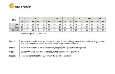 Carhartt Size Chart and Fitting Guide for men and women