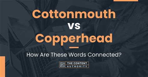 Cottonmouth vs Copperhead: How Are These Words Connected?