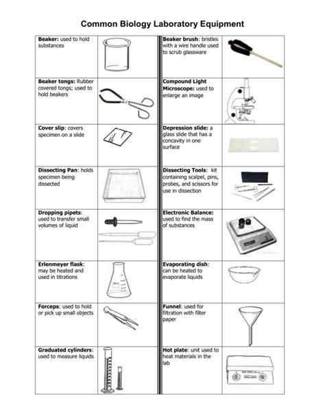 Common Biology Laboratory Equipment