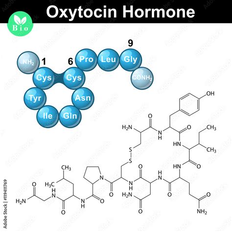 Oxytocin hormone molecular structure Stock Vector | Adobe Stock