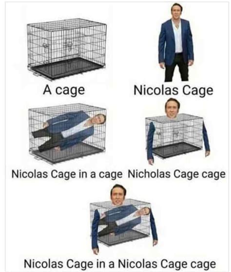 Nicolas Cage cage : r/onetruegod