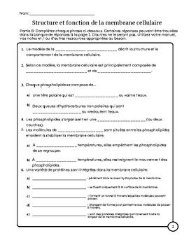 Exercice: Structure et fonction de la membrane cellulaire by Emilie ...