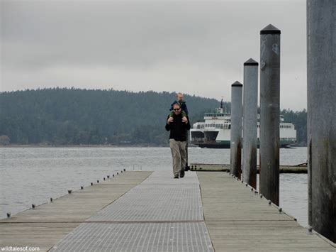 "Free Time" at the Orcas Island Ferry Terminal - wildtalesof.com