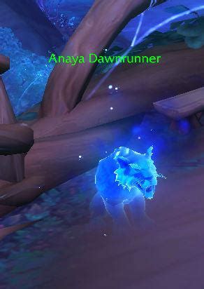 Found Anaya Dawnrunner, for those who remember her in Darkshore. : r/wow