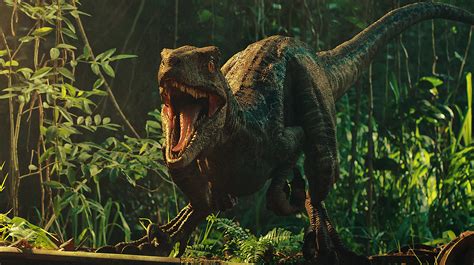 Jurassic World Fallen Kingdom Dinosaurs Wallpaper, HD Movies 4K Wallpapers, Images and ...