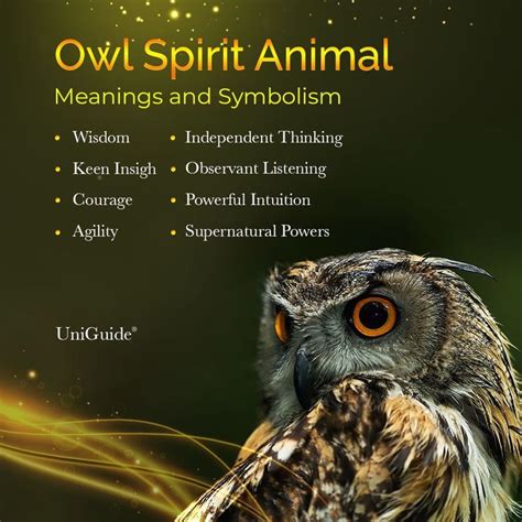 Owl Symbolism & Meaning & the Owl Spirit Animal | Owl spirit animal, Animal spirit guides ...