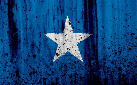 Download Splattered Somalia Flag Wallpaper | Wallpapers.com