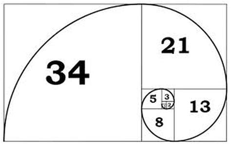 Fibonacci sequence - Gcse photography - Briar CURLEY