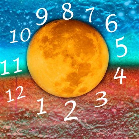 Chaldean Numerology Calculator: Find Your True Calling